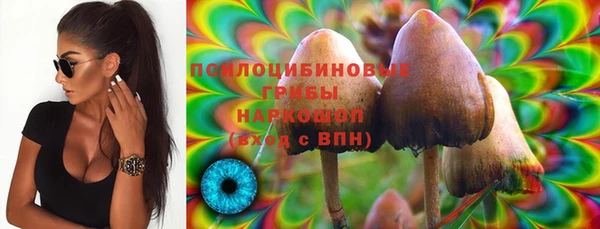 прущие грибы Наволоки