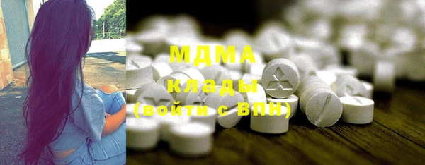 прущие грибы Наволоки