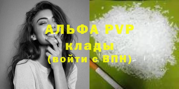 прущие грибы Наволоки