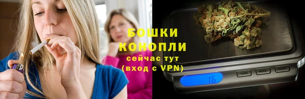 прущие грибы Наволоки