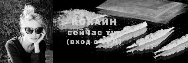 прущие грибы Наволоки