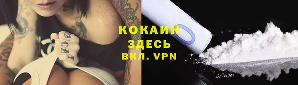 прущие грибы Наволоки