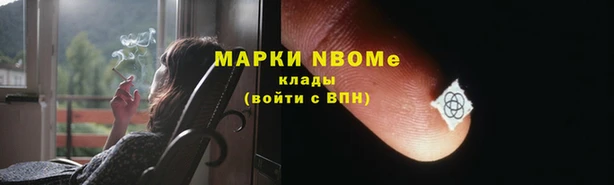 прущие грибы Наволоки