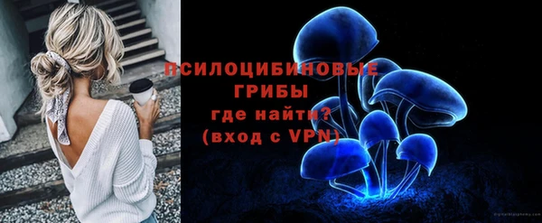 прущие грибы Наволоки