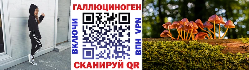 наркошоп  Курлово  Галлюциногенные грибы Magic Shrooms 